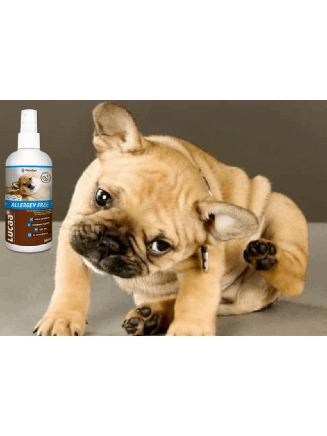 LUCAA+ Pet Probiotic Allergen-Free -Spray 300ml