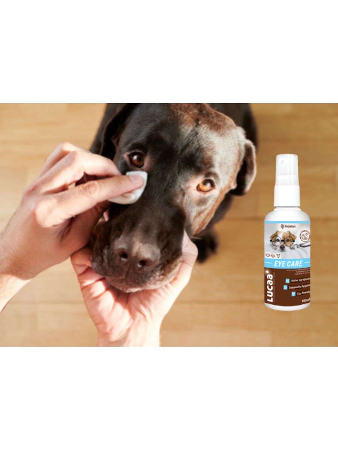 LUCAA+ Pet Probiotic Eye Care - 100ml Spray